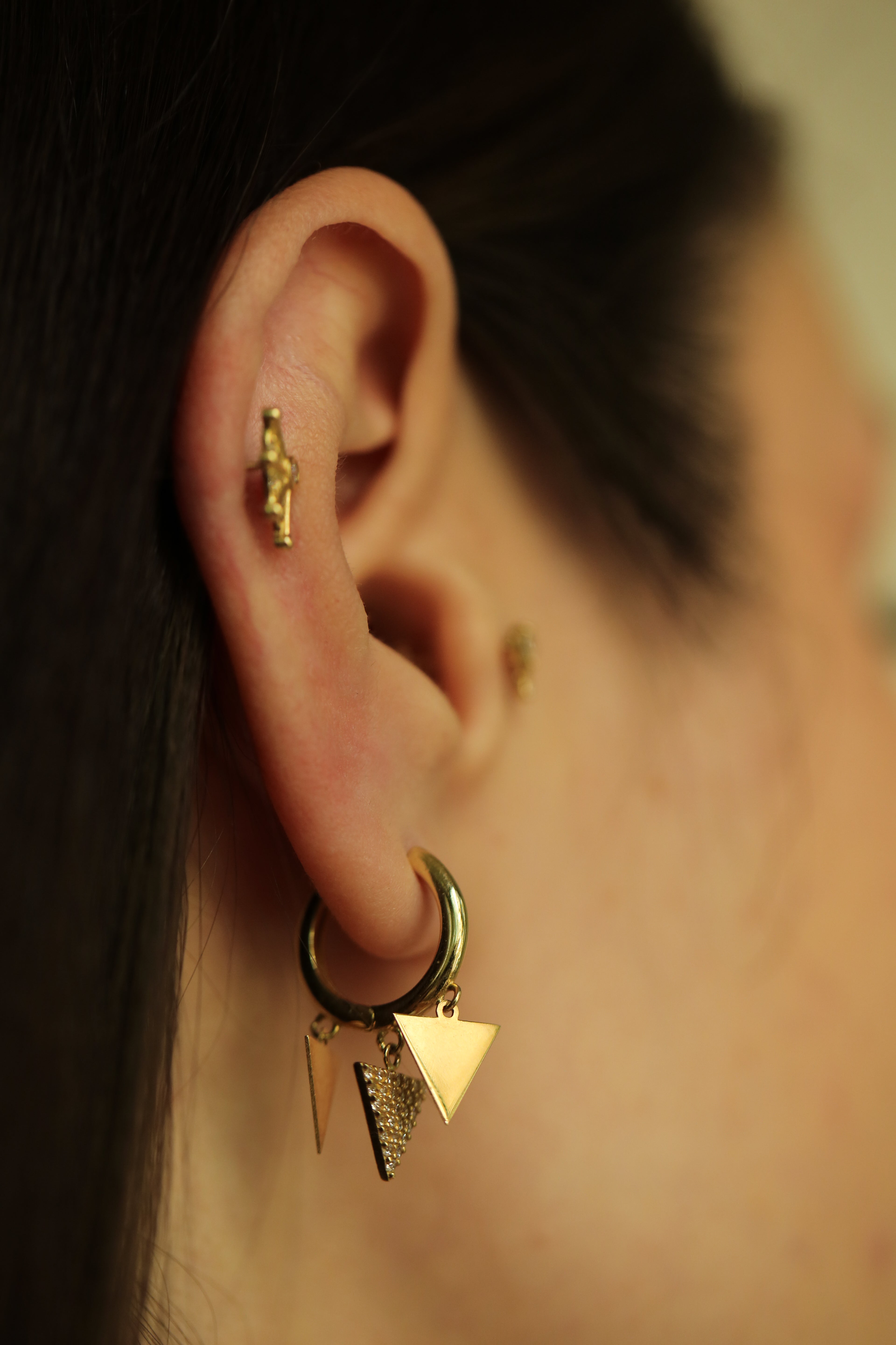 Triangle Reflected Earrings